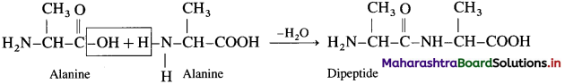 Maharashtra Board Class 12 Chemistry Solutions Chapter 14 Biomolecules 74