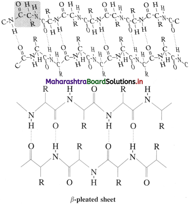 Maharashtra Board Class 12 Chemistry Solutions Chapter 14 Biomolecules 79