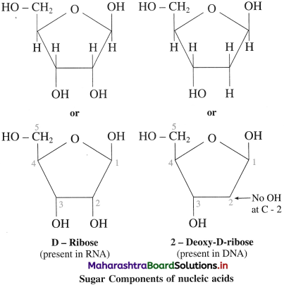 Maharashtra Board Class 12 Chemistry Solutions Chapter 14 Biomolecules 86