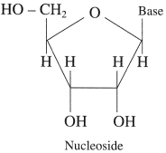 Maharashtra Board Class 12 Chemistry Solutions Chapter 14 Biomolecules 89