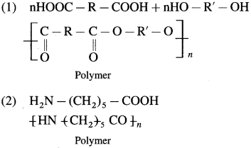 Maharashtra Board Class 12 Chemistry Solutions Chapter 15 Introduction to Polymer Chemistry 32